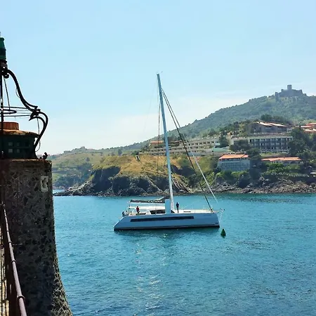 4vse-cob284 Proche * Collioure